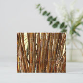 Vieux papier bambou (Debout devant)