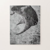 Vieux Rhinoceros - Puzzle Photo HD Noir Et Blanc (Vertical)