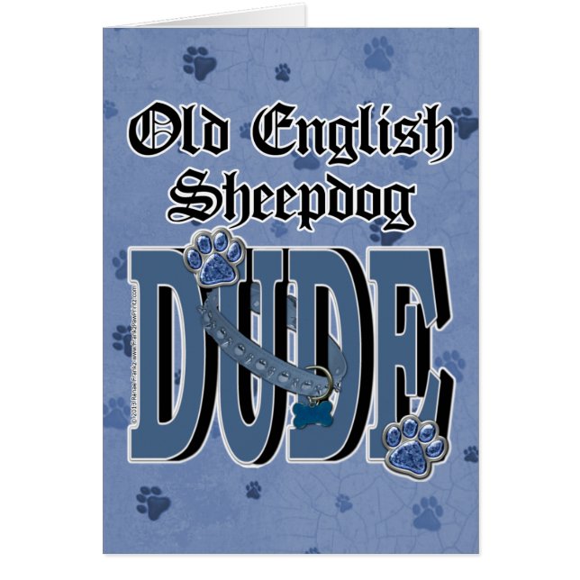 Vieux TYPE anglais de chien de berger (Devant)