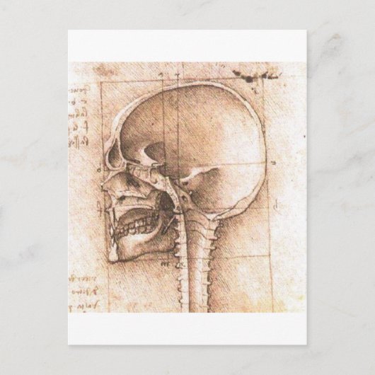 View of a Skull by Leonardo Da Vinci c. 1489 Briefkaart (Voorkant)