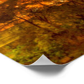 View of the city skyline at dusk poster (Hoek)