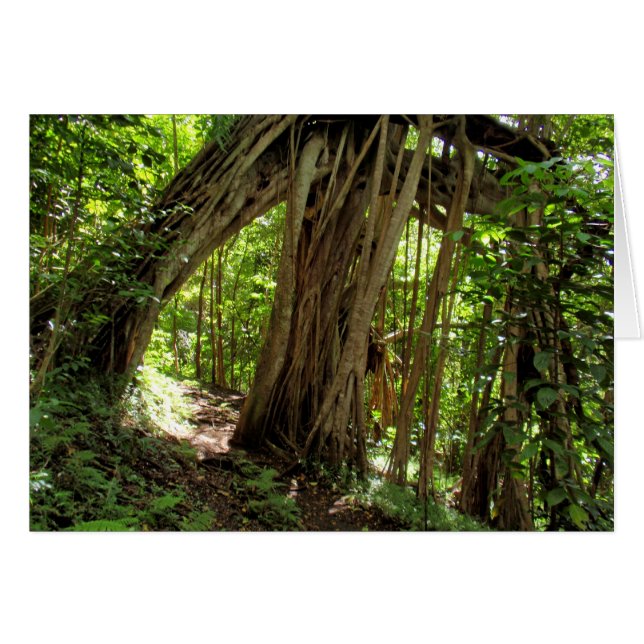 Vigboomtunnel (Voorkant Horizontaal)