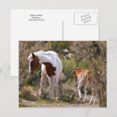 Vigilant moeder briefkaart (Voorkant / Achterkant)