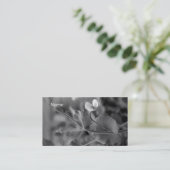 Vigne 2 de pois de carte de visite (Debout devant)