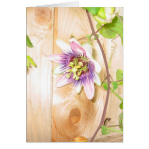 Vigne de fleurs de passion