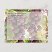 Vigne Élégante Raisins Violets/Verts Carte de Voeu (Dos)
