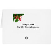 Vigne rouge de trompette (Dos Horizontal)
