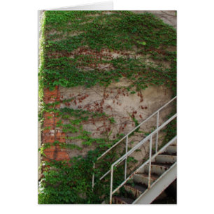 Vignes, Escaliers, Mur De Briques