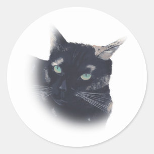 Vignette de Tortoise Shell Stickers Visage de chat