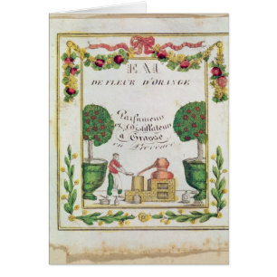 Vignette of "Eau de Fleur d'Oranje"