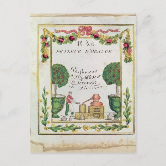 Vignette of "Eau de Fleur d'Oranje" Briefkaart (Voorkant)