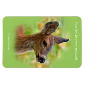 Vignetted Portret of Smiling Blacktail Deer Fawn Magneet (Horizontaal)