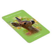 Vignetted Portret of Smiling Blacktail Deer Fawn Magneet (Rechterzijde)