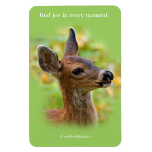 Vignetted Portret of Smiling Blacktail Deer Fawn Magneet