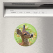 Vignetted Portret of Smiling Blacktail Deer Fawn Magneet (Insitu (Vaatwasser))