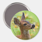 Vignetted Portret of Smiling Blacktail Deer Fawn Magneet (Voorkant / Achterkant)