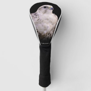 Vignetted Portret van een Inquisitive Saker Falcon Golfheadcover