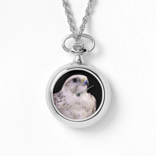 Vignetted Portret van een Inquisitive Saker Falcon Horloge