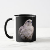 Vignetted Portret van een Inquisitive Saker Falcon Mok (Links)