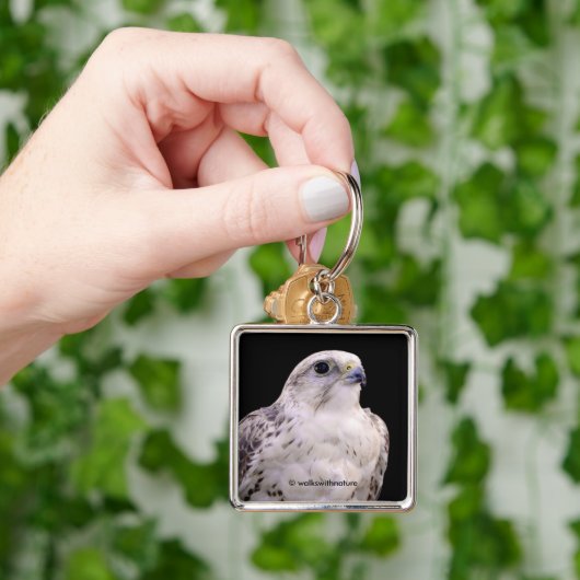Vignetted Portret van een Inquisitive Saker Falcon Sleutelhanger (Hand)