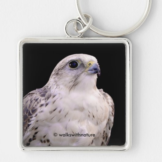 Vignetted Portret van een Inquisitive Saker Falcon Sleutelhanger (Voorkant)
