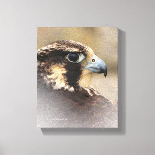 Vignetted Profile of a Peregrine Falcon Canvas Afdruk