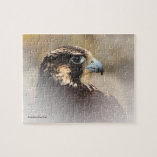 Vignetted Profile of a Peregrine Falcon Legpuzzel