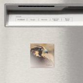 Vignetted Profile of a Peregrine Falcon Magneet (Insitu (Vaatwasser))