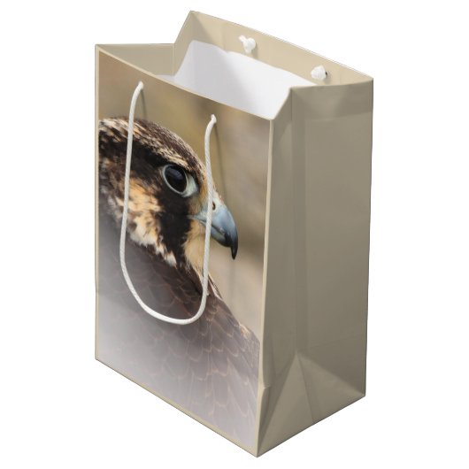 Vignetted Profile of a Peregrine Falcon Medium Cadeauzakje (Voorkant Gekanteld)