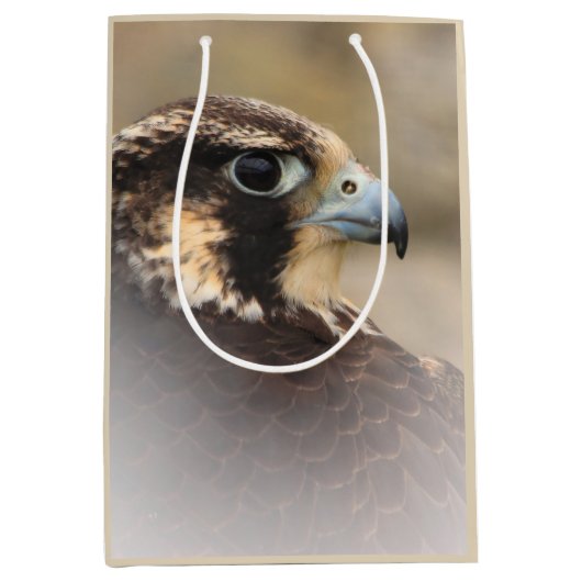 Vignetted Profile of a Peregrine Falcon Medium Cadeauzakje (Voorkant)