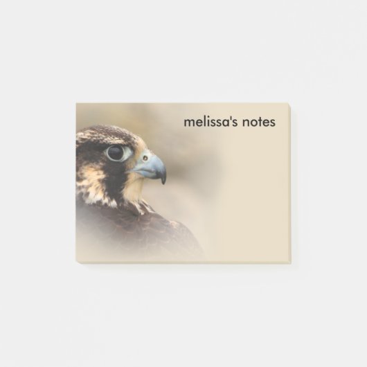 Vignetted Profile of a Peregrine Falcon Post-it® Notes (Voorkant)