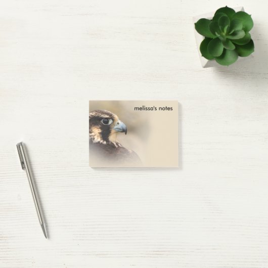Vignetted Profile of a Peregrine Falcon Post-it® Notes (Kantoor)