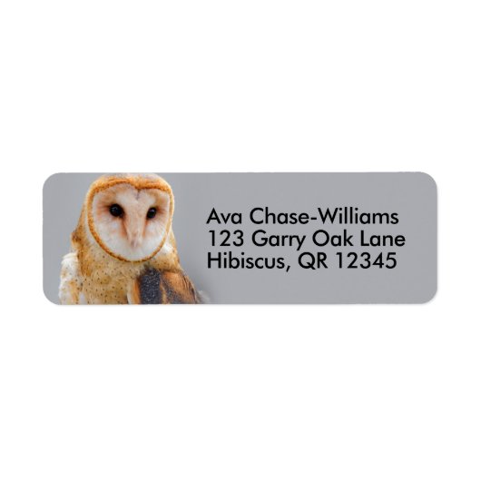 Vignetted Serene Barn Owl Etiket (Voorkant)
