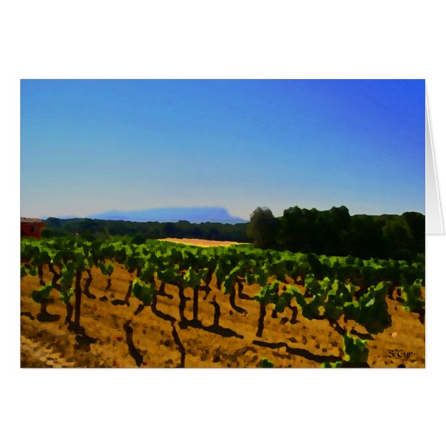 Vignoble artistique, S Cyr (Devant horizontal)