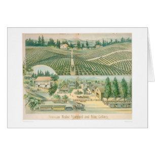 Vignoble de Nouveau Medoc et caves (1213A)