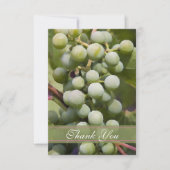 Vignoble de raisins verts Merci plat (Devant)