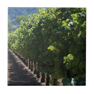 Vignoble du comté de Sonoma - carreau de céramique