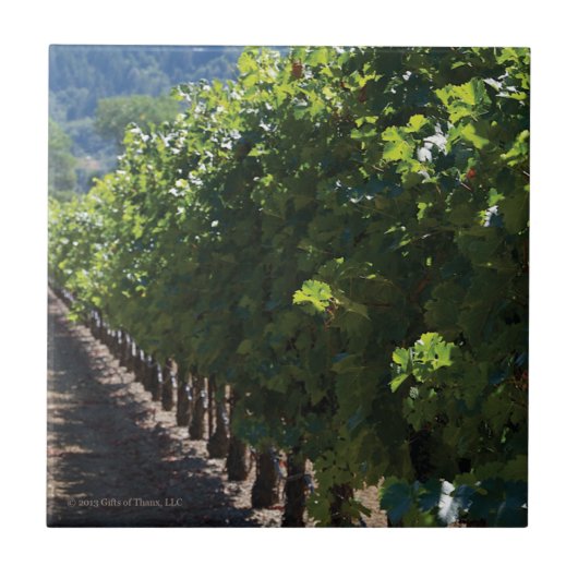 Vignoble du comté de Sonoma - carreau de céramique (Devant)