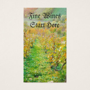 Vignoble en automne