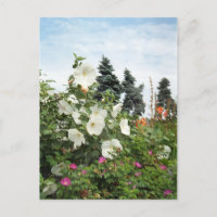 Vignoble Jardin Fleurs d'été Cartes postales perso