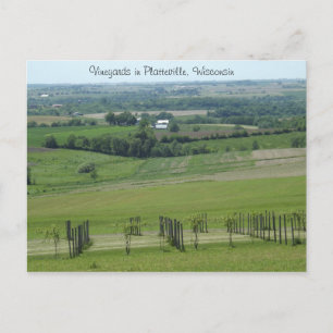 Vignobles à Platteville, carte postale du Wisconsi