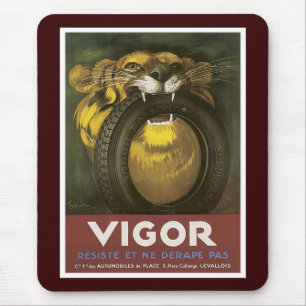 Vigor Muismat