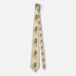 Vigors Vireo (Pine Warbler) Audubon Birds America Stropdas