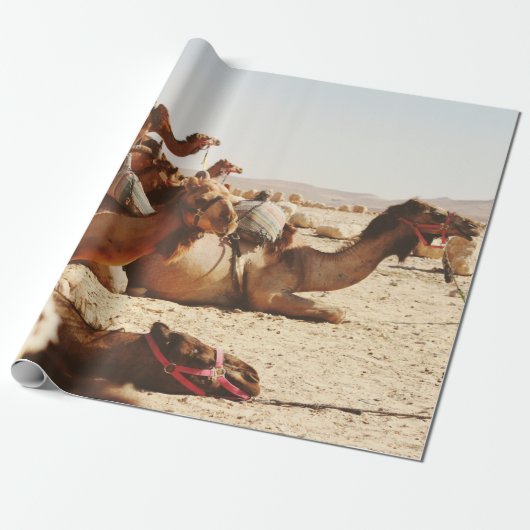 VIJF CAMELS OP VELD CADEAUPAPIER (Uitgerold)