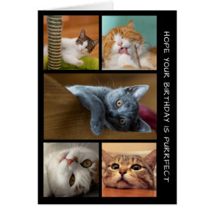 Vijf CAT-foto van Birthday Collage Birthday Kaart
