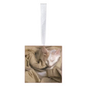 Vijf Fotonaam Jaar Kat Dog Pet Kubus Ornament (Rechts)