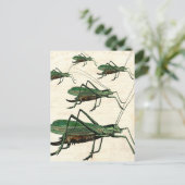 Vijf Groene Grasshoppers of Katydids Briefkaart (Staand voorkant)