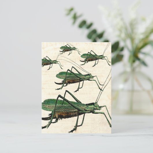Vijf Groene Grasshoppers of Katydids Briefkaart (Staand voorkant)