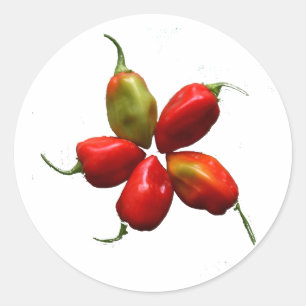 Vijf Hete Habanero Peppers Foto Ronde Sticker