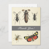 Vijf Insecten kijken "Bedankt!" Briefkaart (Voorkant / Achterkant)